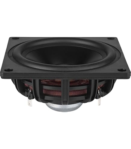 Amazon.com: Dayton Audio RS100-4 4